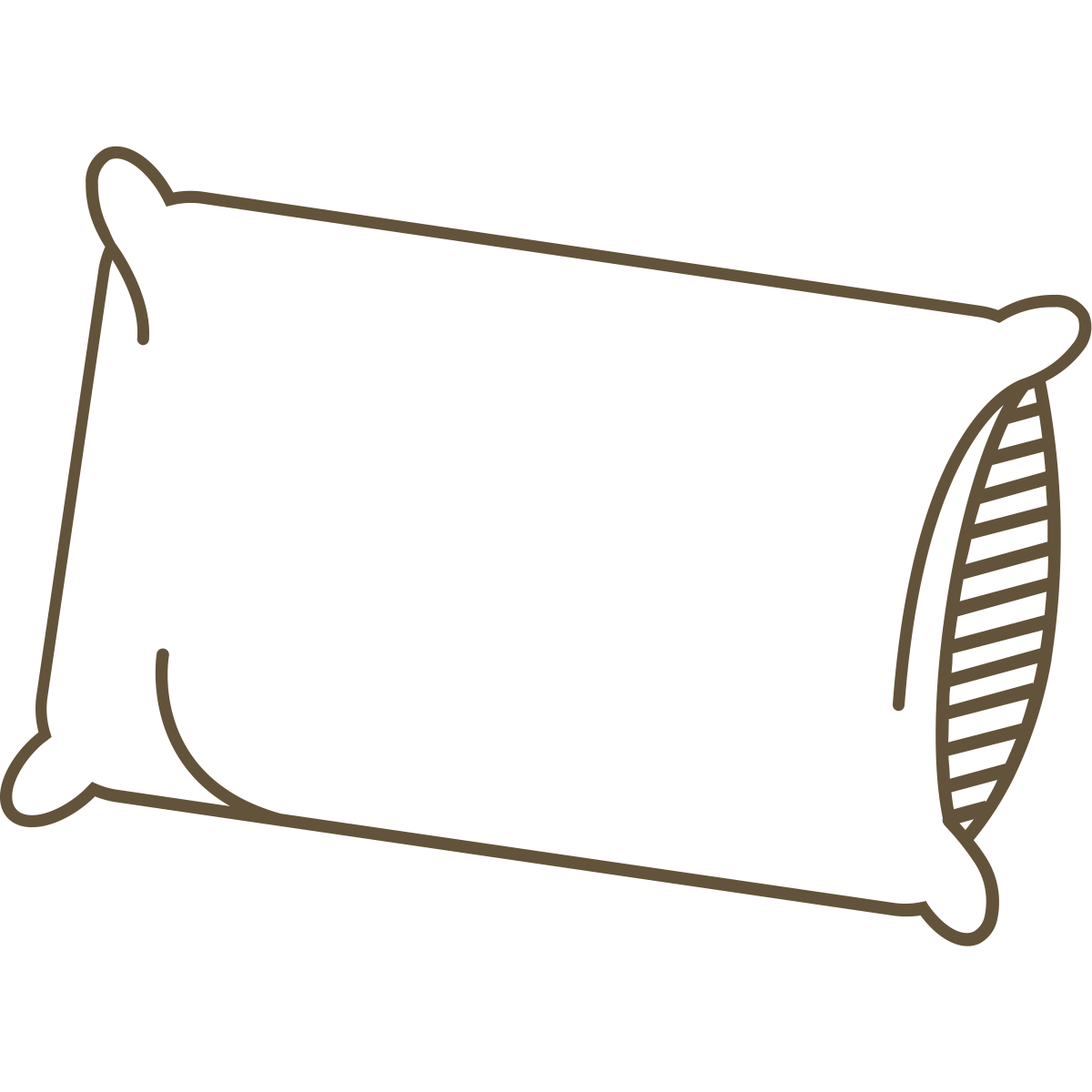 The Ultimate Guide to Pillows What's The Difference and Which Should